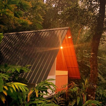 Munnar Home Stay Teadrops Plantation Villa Esterno foto