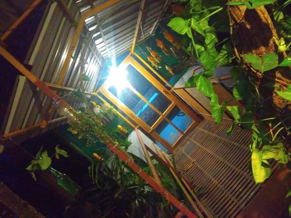Munnar Home Stay Teadrops Plantation Villa Esterno foto
