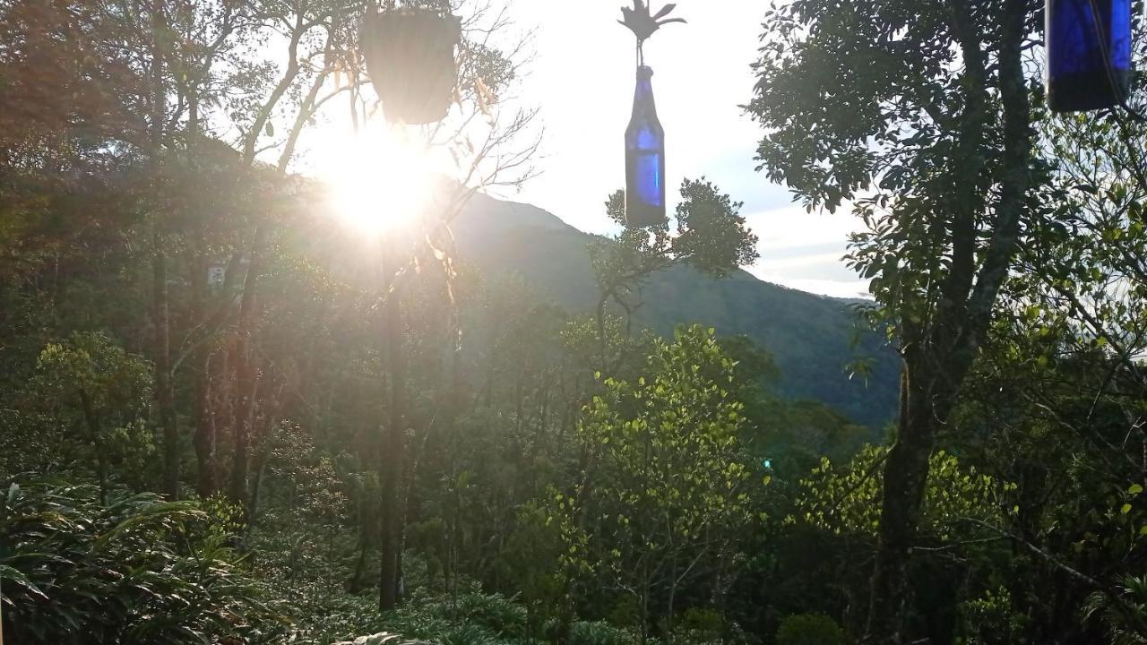 Munnar Home Stay Teadrops Plantation Villa Esterno foto
