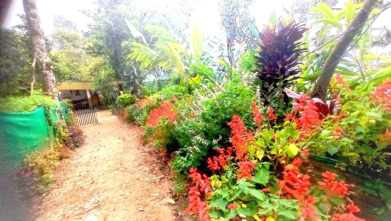 Munnar Home Stay Teadrops Plantation Villa Esterno foto