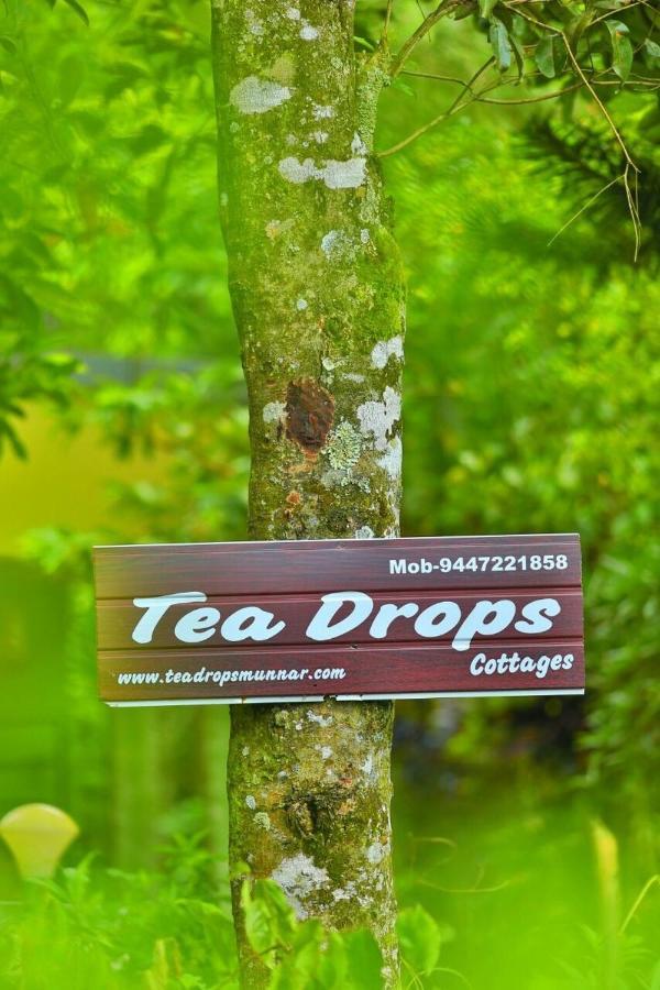 Munnar Home Stay Teadrops Plantation Villa Esterno foto