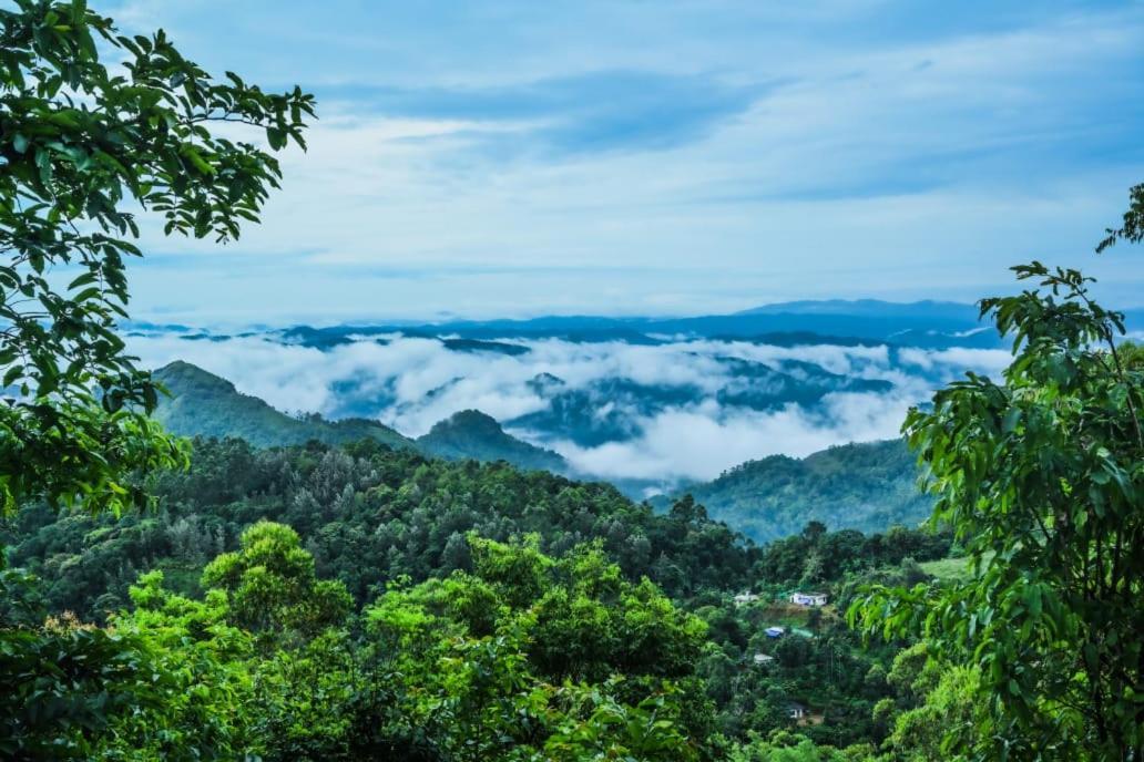Munnar Home Stay Teadrops Plantation Villa Esterno foto