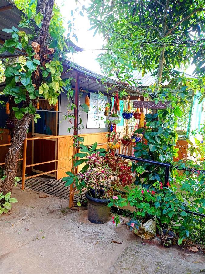 Munnar Home Stay Teadrops Plantation Villa Esterno foto