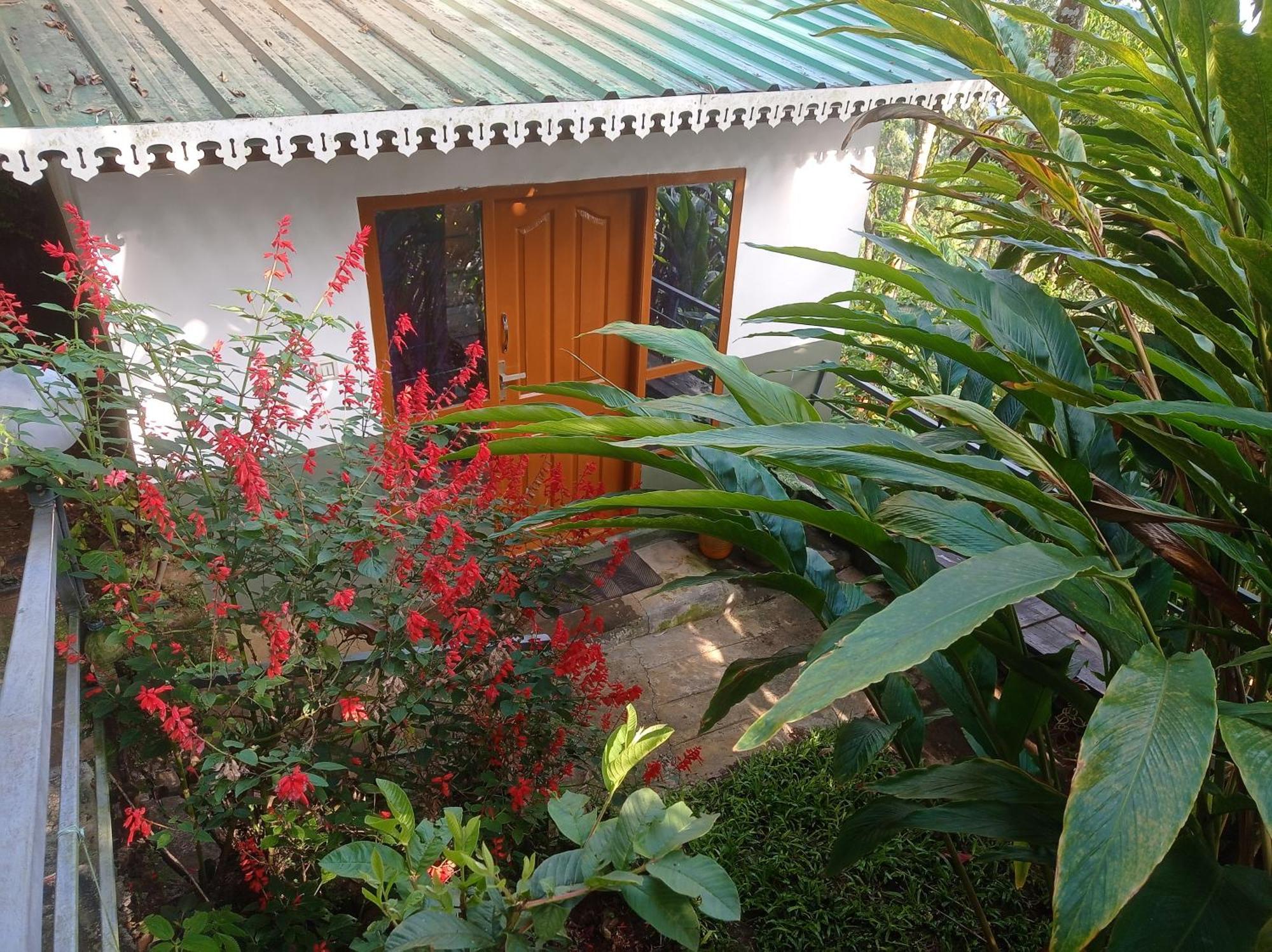 Munnar Home Stay Teadrops Plantation Villa Esterno foto