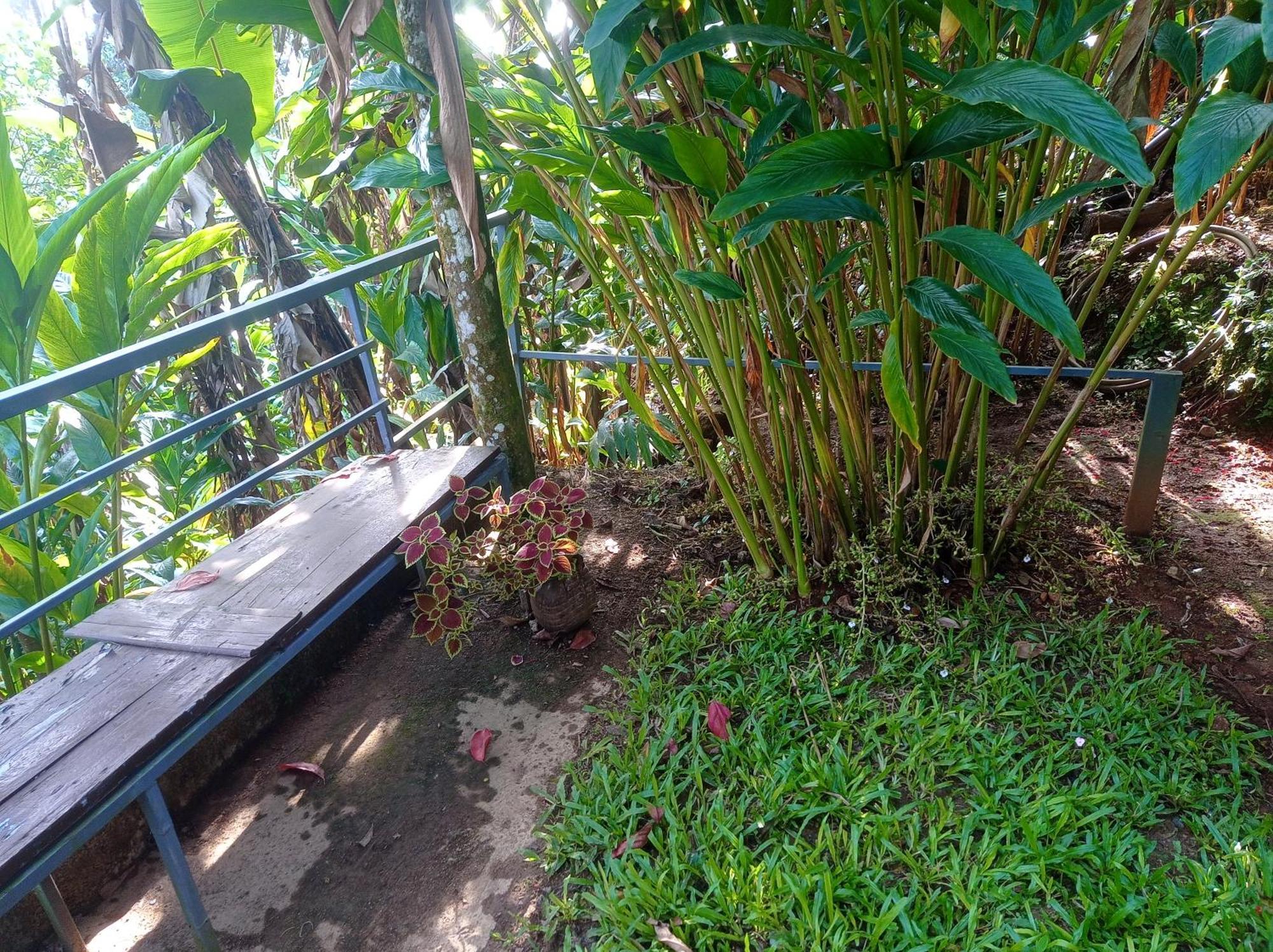 Munnar Home Stay Teadrops Plantation Villa Esterno foto