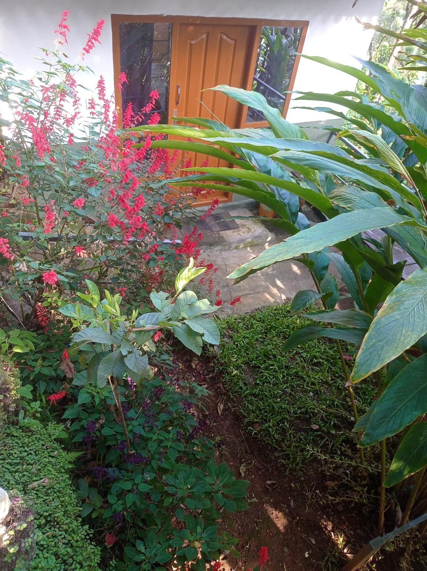 Munnar Home Stay Teadrops Plantation Villa Esterno foto