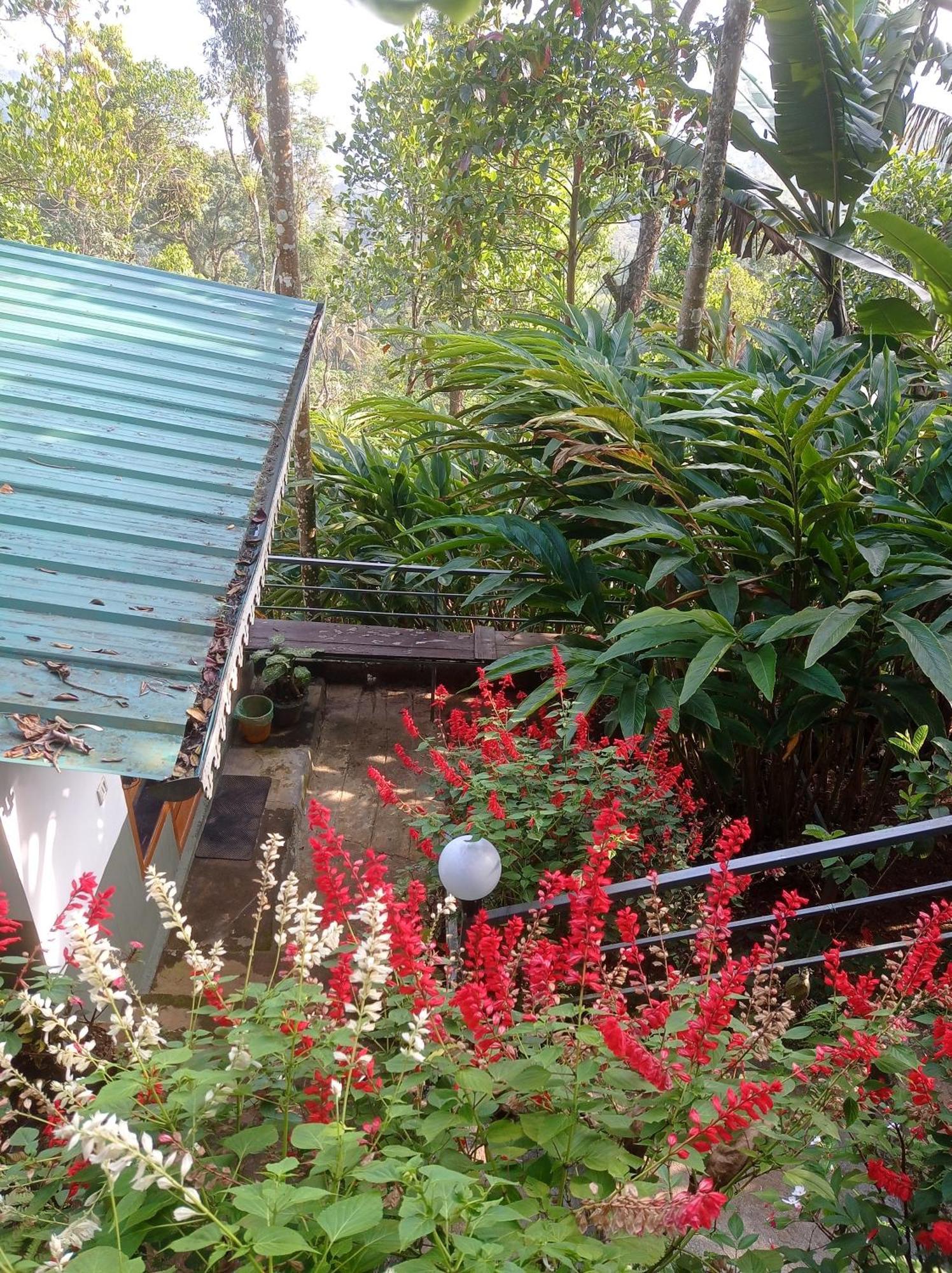 Munnar Home Stay Teadrops Plantation Villa Esterno foto