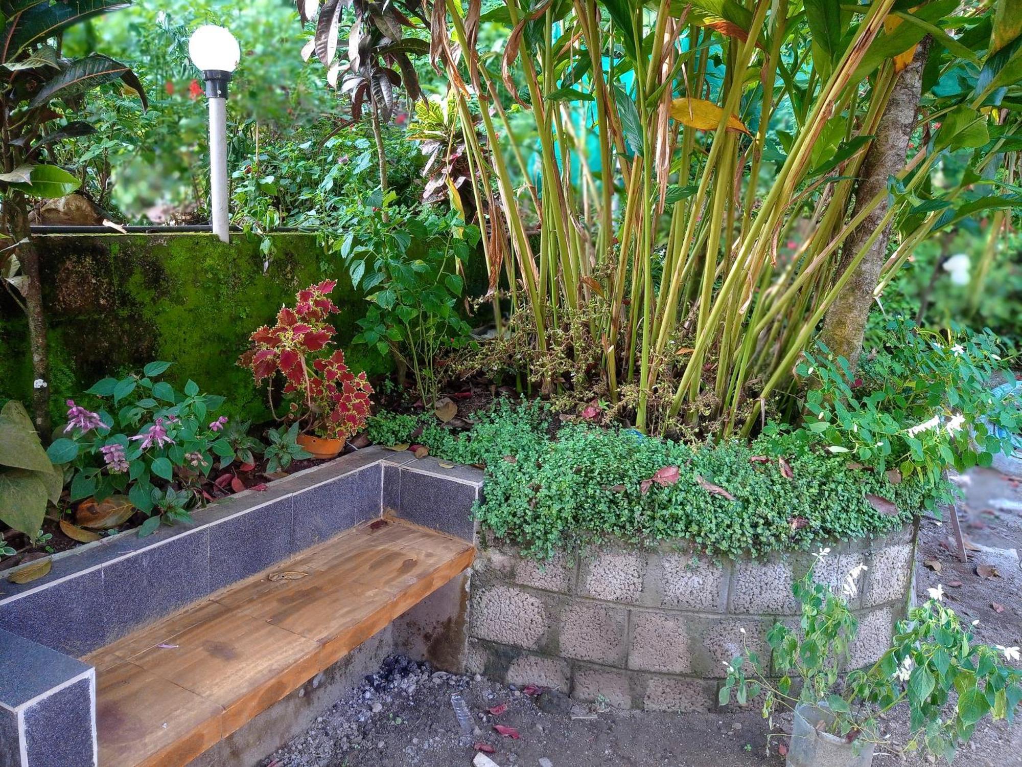 Munnar Home Stay Teadrops Plantation Villa Esterno foto
