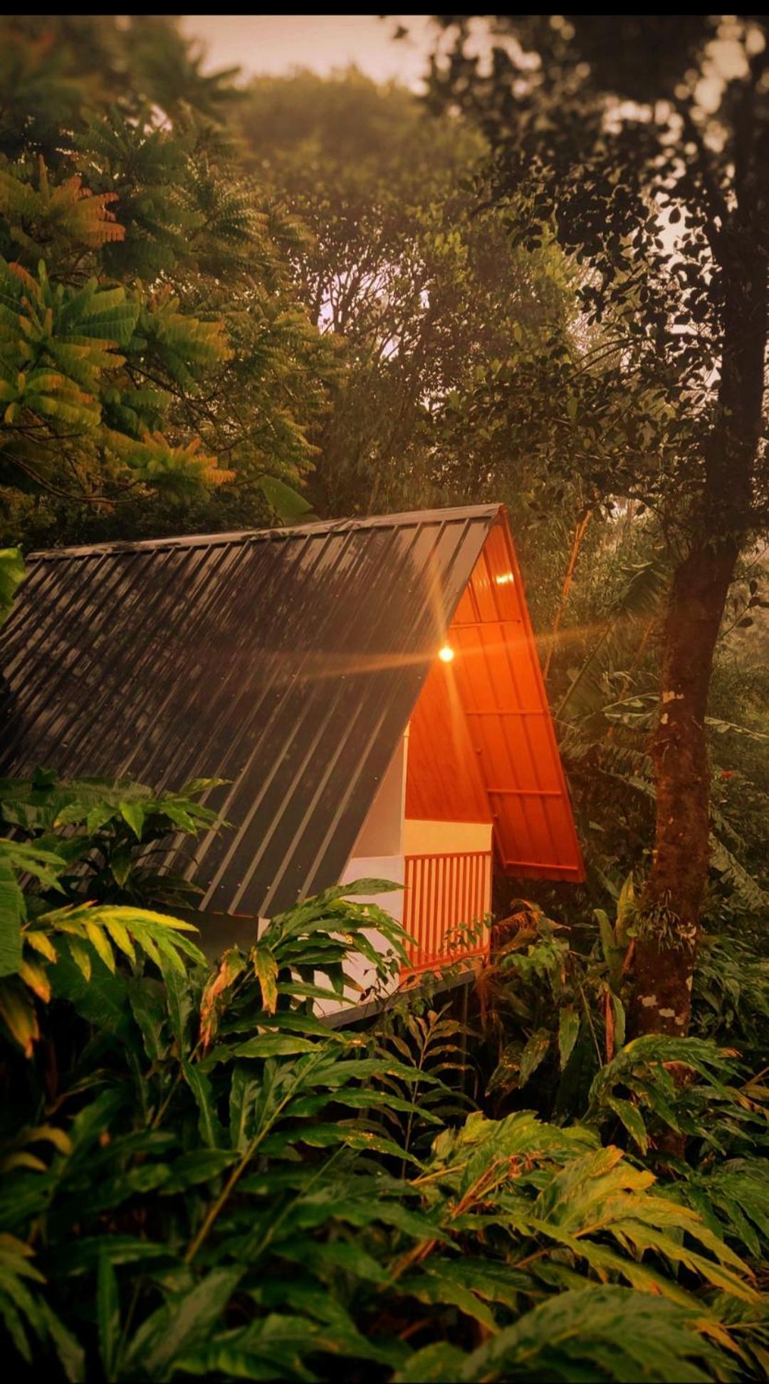 Munnar Home Stay Teadrops Plantation Villa Esterno foto